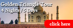 Golden Triangle Tour