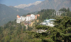 Hotel Anupam Resorts