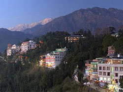 Hotel Surya Mcleod Resorts